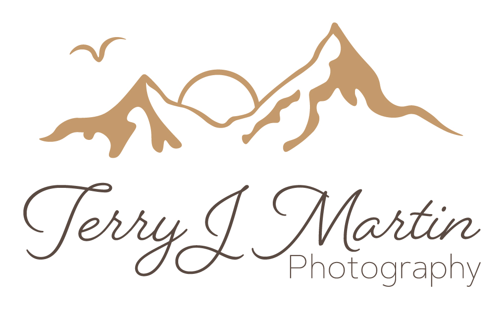 Terry J Martin Primary Logo