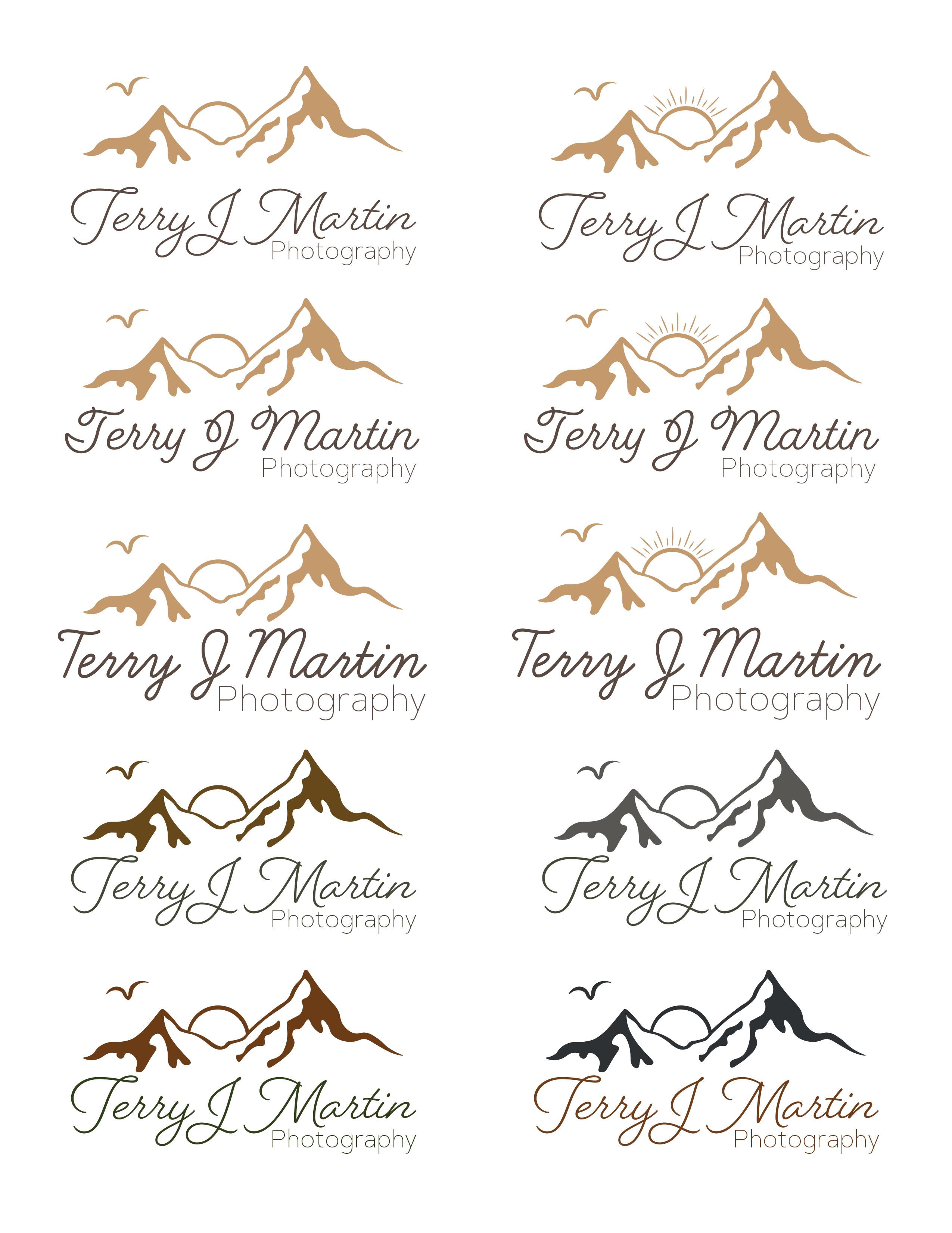 Terry J Martin Logo Concepts Color Choices